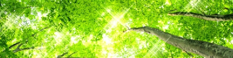 �G�|���[�V�F���T�C�g